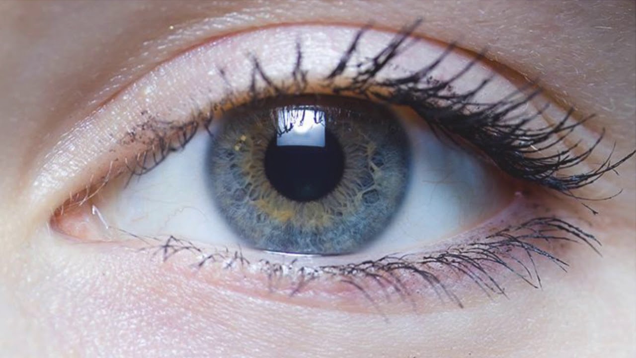 Fluorescent Light Covers Why Fluorescent Lighting Triggers Light