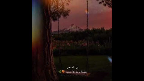تلاوة لا توصف من القارئ محمد كمال هاشم 🧡🌿 (حالات واتس اب قرآن رائعة 2020)