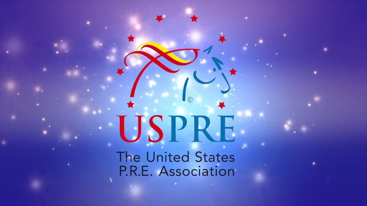 USPRE PARTY 2019