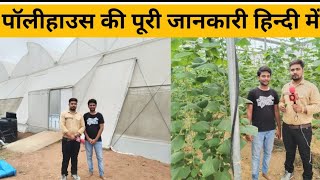 पॉलीहाउस की संपूर्ण जानकारी Polyhouse Subsidy, Cost, Profit | Agri Farming l Kisan Seva