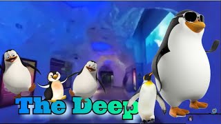 The Deep || The Deep Aquarium Hull || Hull Aquariums || Part 3 || Unique Aatti