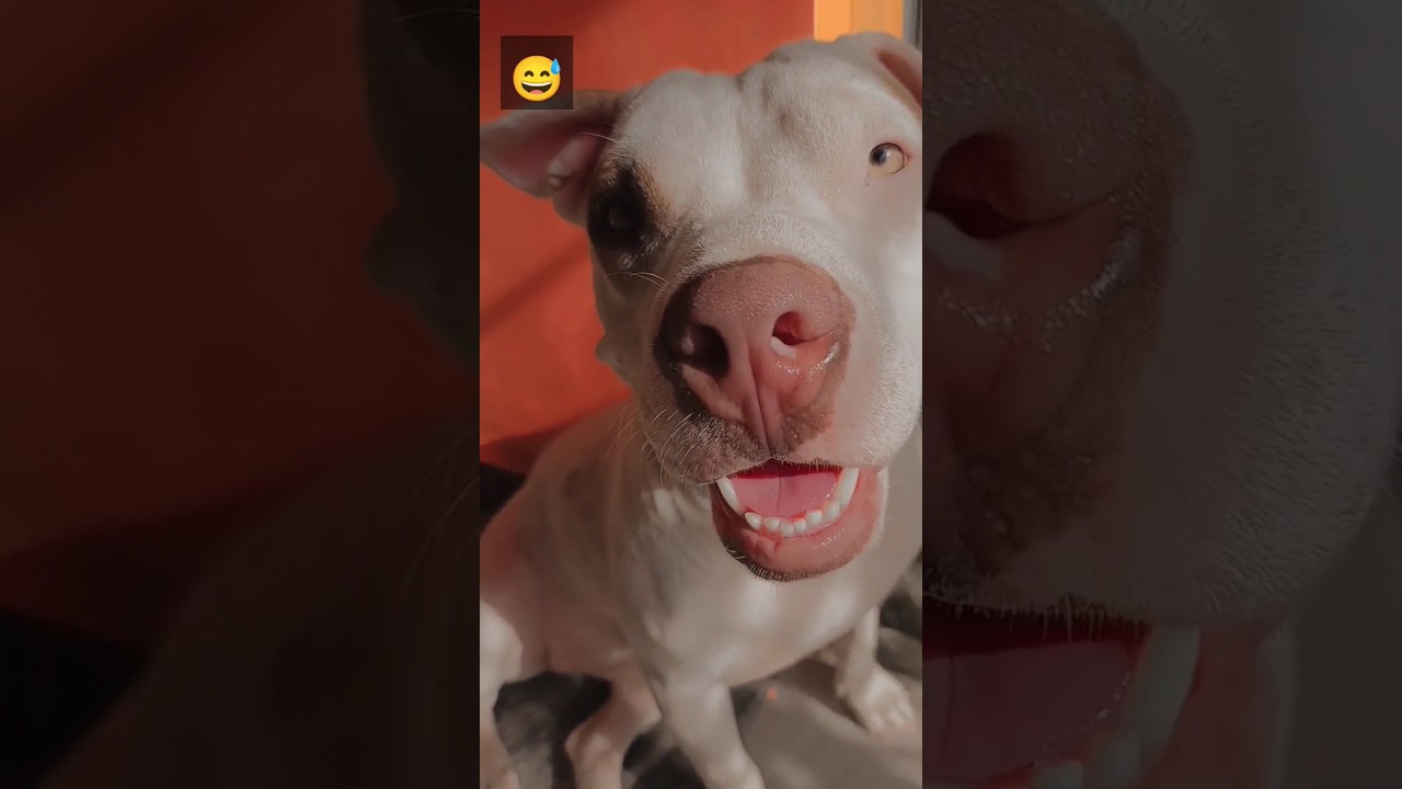 Meri Ye video 📷 save kr le 😂 cute 