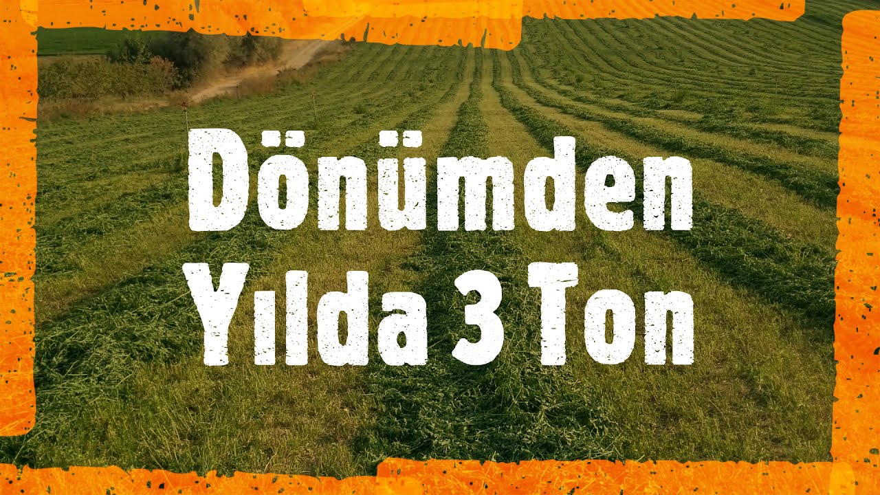 Yeraltı Sabit Sulama Sistemi olan yonca biçimi 2020