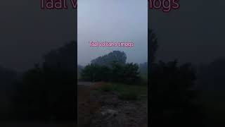 Taal volcanos smog   #taalvolcano #smog #trending #philippines #shorts