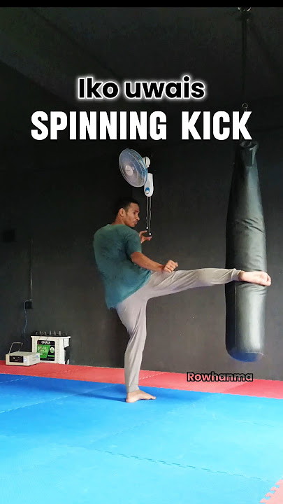 Iko Uwais Spinning kick