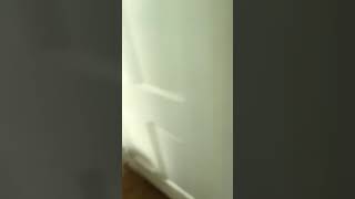 Daily snaps 7/5/21