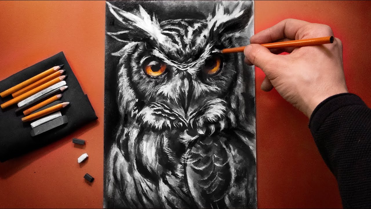 ASMR Drawing an Owl with Charcoal - No Talking