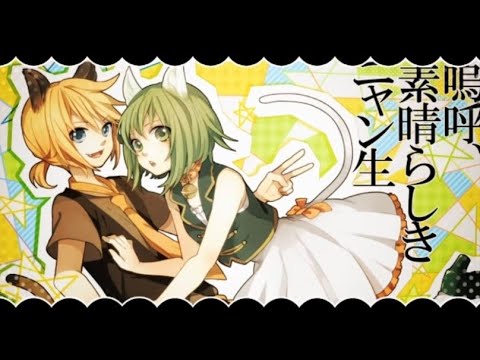 嗚呼、素晴らしきニャン生 / Sp!ca【歌ってみた】