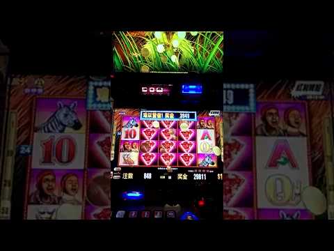 TOP 5 RECORD MAX WINS ON SLOTS! (GATES OF OLYMPUS, 5 LIONS MEGAWAYS & MORE!)
