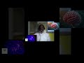 Neurons, Glia, and Blood Vessels: The Complex City of the Brain