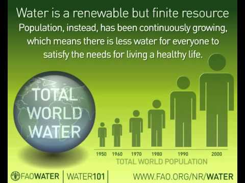 Water 101 Quick Facts about Water: Water for Food FAO (en) - YouTube