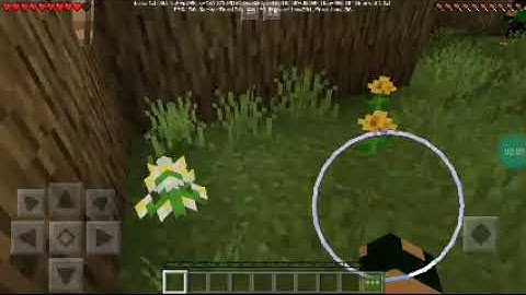 Choose Your Terror Minecraft We Saw Killed Clown!!!