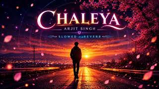Chaleya Slowed Reverb | Arijit Singh Shilpa Rao | Jawan | Hindi Slowed Songs | Drifting Waves