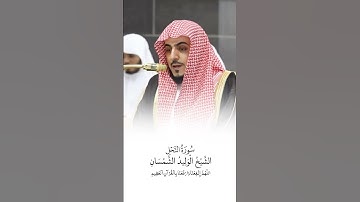 سورة النحل | الشيخ #الوليد_الشمسان | صلاة التراويح ١٤٤٦هـ