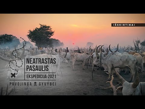 Video: Staigus Ir Nuolatinis - Mirtis