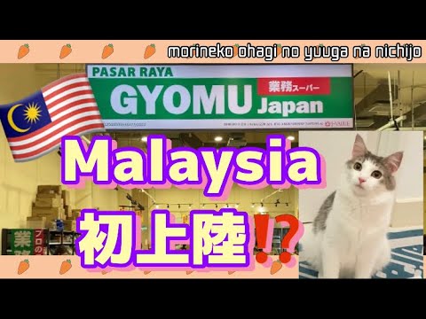 GYOMU★in MALAYSIA 日本の業務スーパーがマレーシアに初上陸 〜森猫おはぎの遊雅な日常〜 #GYOMU #Malaysia #japanesefood #猫と海外移住