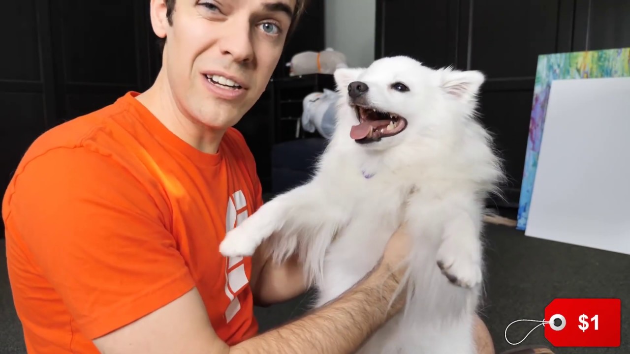 Jacksfilms But Out Of Context