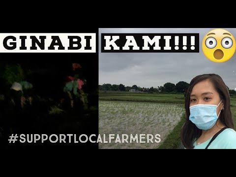 PART 3 of TARA! Sa aming munting bukid || #MissLAtriestoVLOG || VLOGGING SERIES