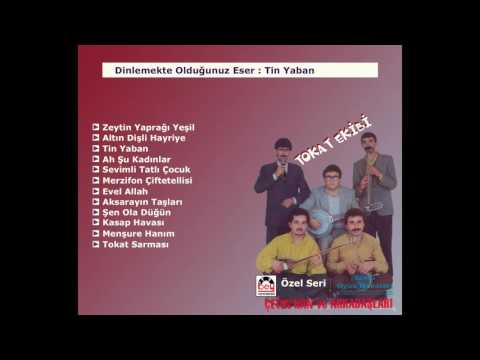 Tokat Ekibi - Tin Yaban Şemsi Kız