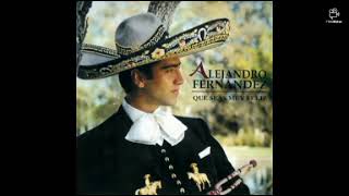 ALEJANDRO FERNÁNDEZ - QUE SEAS MUY FELIZ (Full Álbum 1995)
