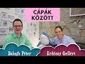 CÁPÁK KÖZÖTT, BEFEKTETÉS, VÁLLALKOZÁS, STARTUP - Exkluzív interjú Balogh Péterrel