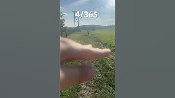 “365 days, 1 push-up per day 💪 Follow my progress and start the challenge with me!” #fitness #pump