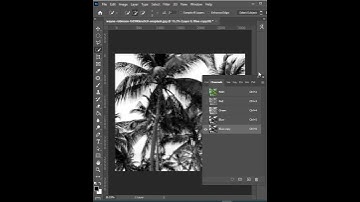 Easily Remove Background in Photoshop - Short Photoshop Tutorial