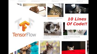 Tensorflow Image Recognition with Python!