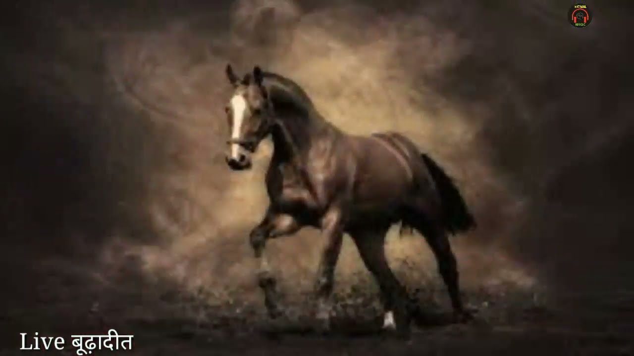 हात्या का जंगी टोकरा,जिन्दबाबा का भजन सिकन्दर कोयल !!लिया बावड़ियाँ वाश!! कोयल म्यूजिक M. 9079780521