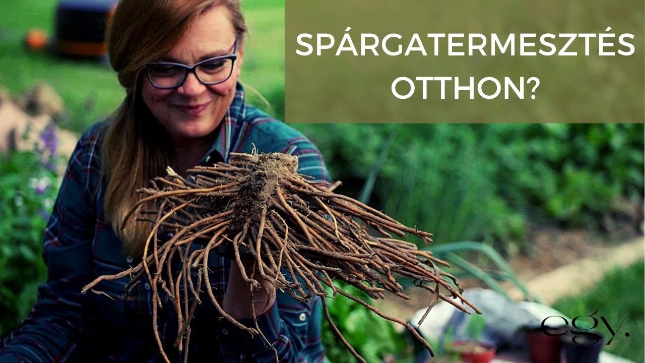 Borbás Marcsi: Kertem - Spárgatermesztés otthon (58. rész)