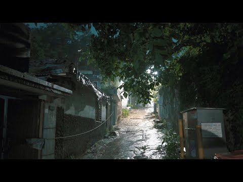 [Night Rain Sounds] 영화속의 비오는 장면같은 분위기, 깊은밤 골목길의 여름빗소리.