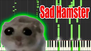 Sad Hamster but it's MIDI (Auditory Illusion) | Sad Hamster Piano sound