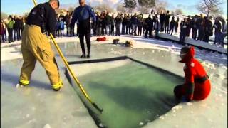 2014 Polar Bear Plunge