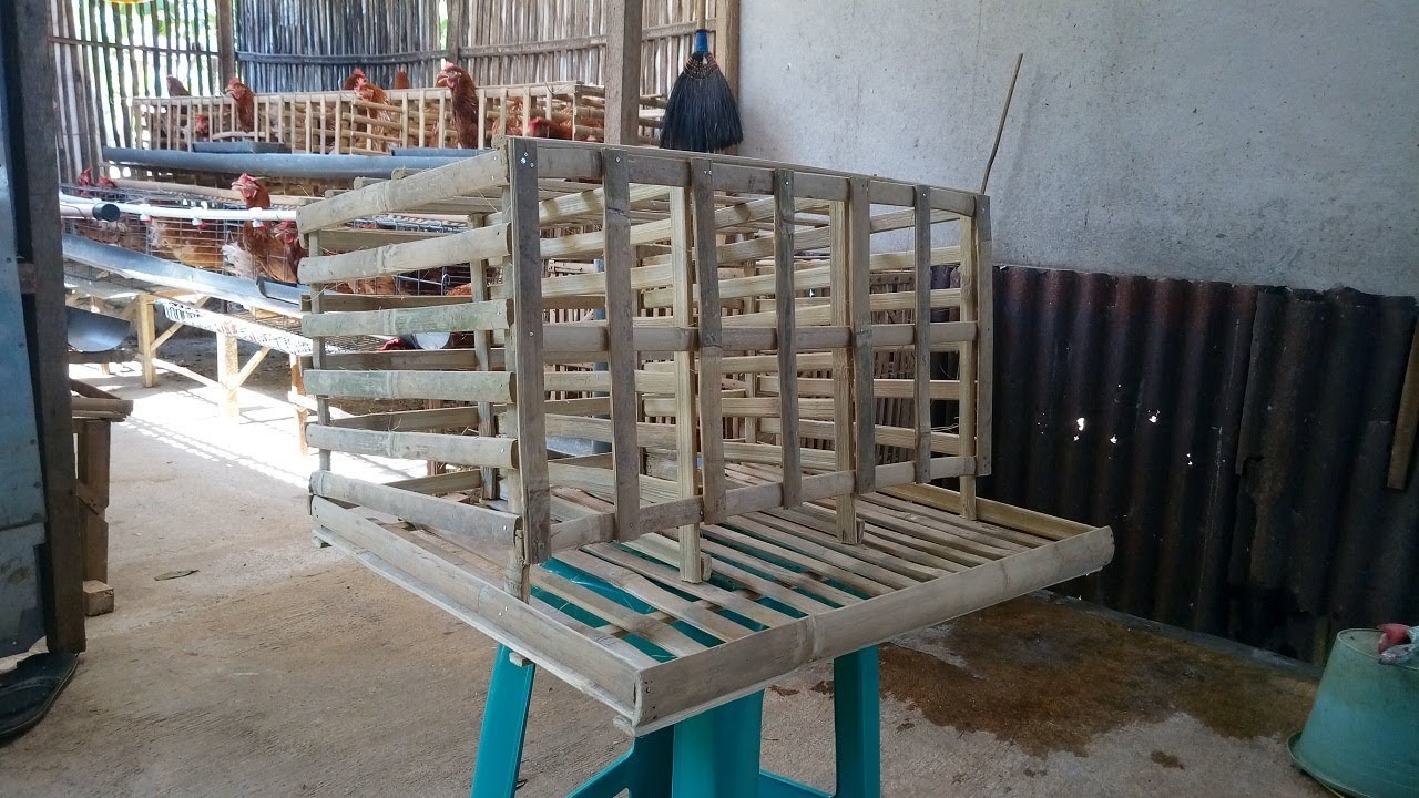 Kandang Baterai Ayam Petelur Minimalis Ekonomis - YouTube