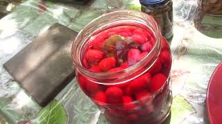 О гниющих помидорах - чем лечить, нахимиченых персиках и кислом винограде