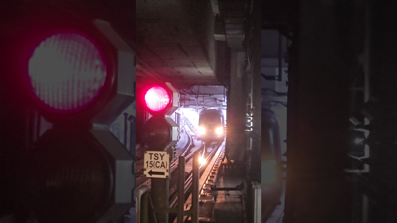 [Train]{8K30fps} Tung Chung Line Adtranz–CAF EMU Train arrived Tsing Yi from Reversing siding