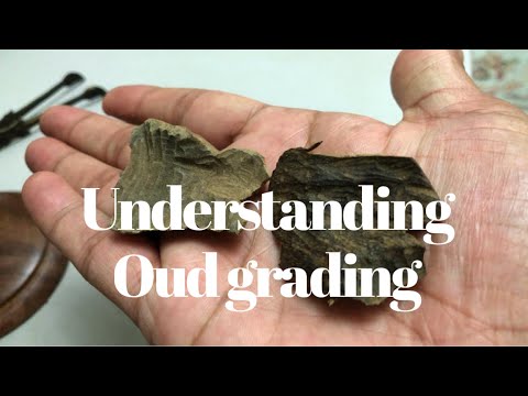 Understanding Oud grading