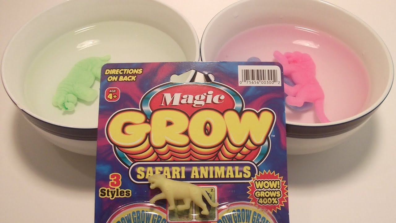 How to Grow an Animal! YouTube