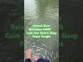 Natural River Relaxation ASMR 🌿 Calm Your Mind & Sleep Faster Tonight#shorts #shortvideo