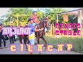 Kuda Joget Arjuna dari gendis stable cilacap #kuda #cilacap