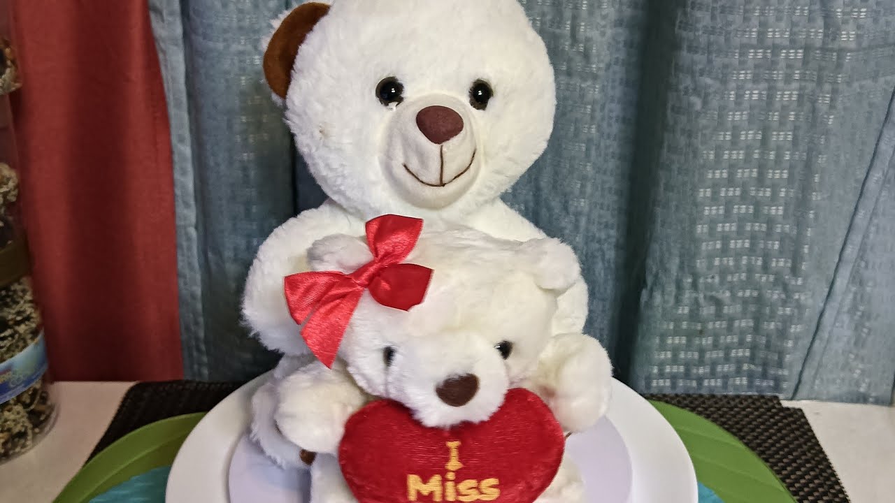 "Bringing all the cozy vibes to the table with my fluffy friends! 🎉🐻 