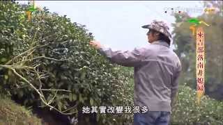 20150407台灣是我家-來吉部落南非媳婦