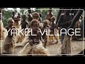 Visit Yakel Village A Traditional Vanuatu Tribe On Tanna Island Visit Yakel Village A Traditional Vanuatu Tribe On Tanna Island