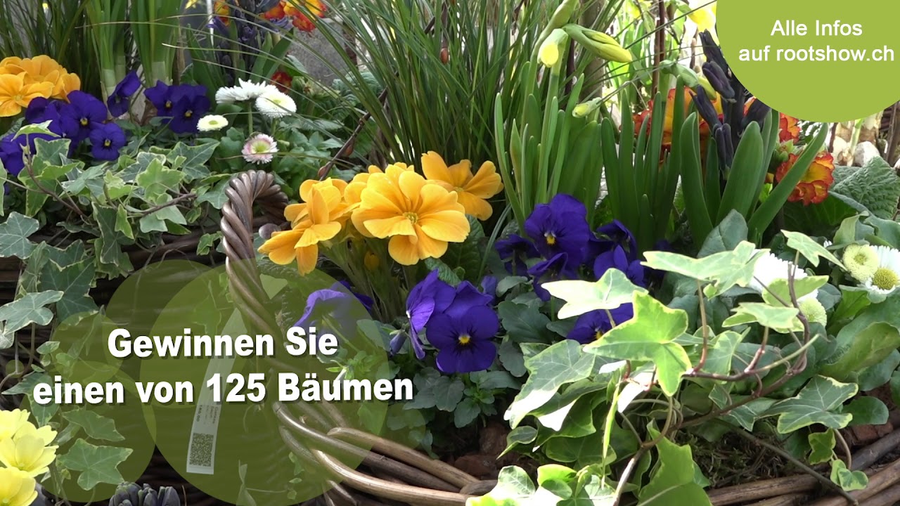 125 Jahre Garten Center Meier Youtube