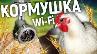 УМНАЯ КОРМУШКА ИЗ МЯСОРУБКИ | Крутая самоделка