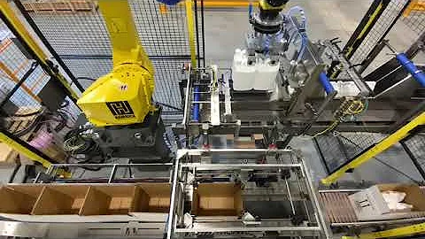 Hamrick Packaging Systems - Low Speed Robotic Case Packing/Sealing