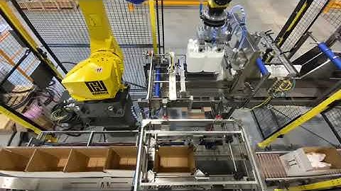 Hamrick Packaging Systems - Low Speed Robotic Case Packing/Sealing