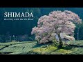 Shimada City, Japan in 8K HDR - 島田市 大井川と生きるまち