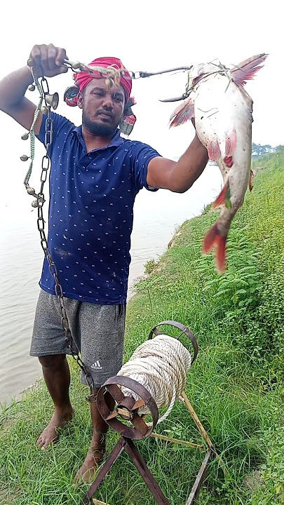 This Is Rita Fish Bait Catching Big Fish #fishing #hookfishing #padma