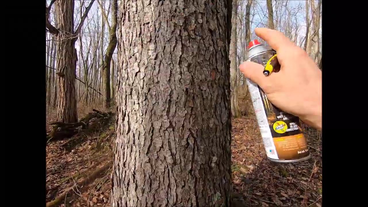 On the hunt for work!!! How i mark, scale and figure timber